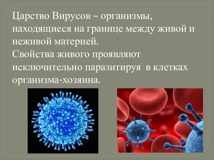 Царство Вирусов – организмы, находящиеся на границе между живой и неживой материей.