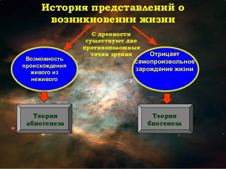 История представлений о возникновении жизни С древности существуют две противоположные точки зрения