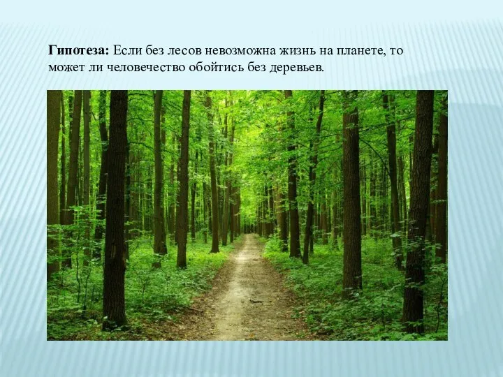 Гипотеза: Если без лесов невозможна жизнь на планете, то может ли человечество обойтись без деревьев.