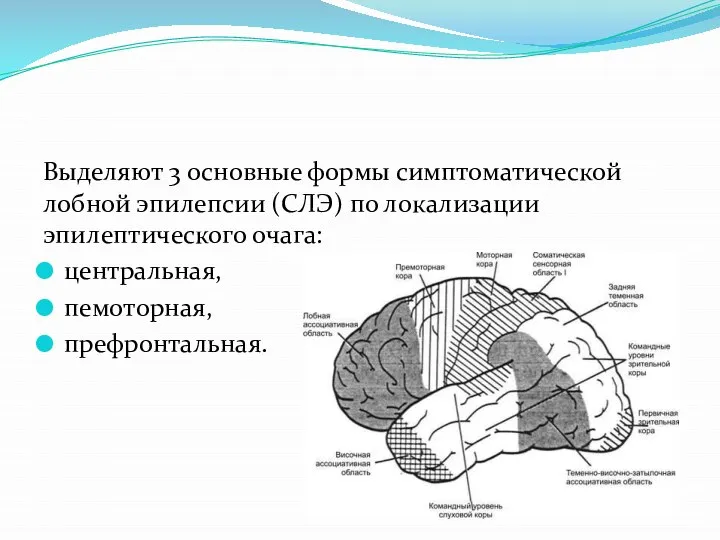 Выделяют 3 основные формы симптоматической лобной эпилепсии (СЛЭ) по локализации эпилептического очага: центральная, пемоторная, префронтальная.