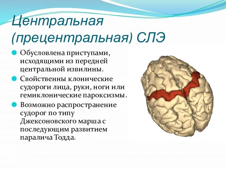 Центральная (прецентральная) СЛЭ Обусловлена приступами, исходящими из передней центральной извилины. Свойственны клонические