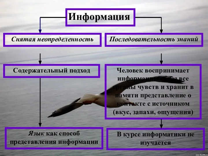 Информация Снятая неопределенность Последовательность знаний Содержательный подход Человек воспринимает информацию через все