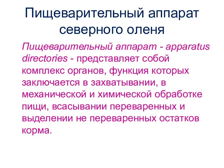 Пищеварительный аппарат северного оленя Пищеварительный аппарат - apparatus directories - представляет собой