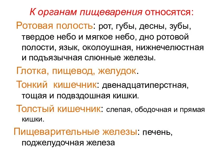 К органам пищеварения относятся: Ротовая полость: рот, губы, десны, зубы, твердое небо