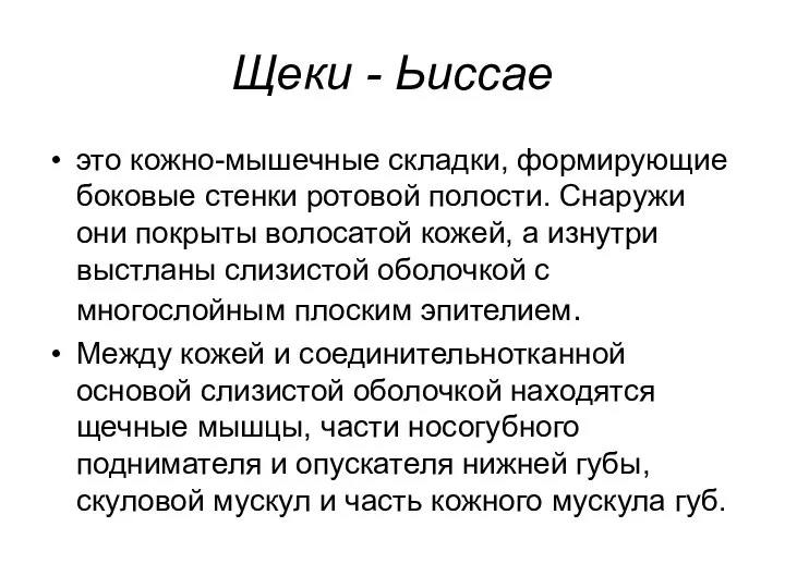 Щеки - Ьиссае это кожно-мышечные складки, формирующие боковые стенки ротовой полости. Снаружи