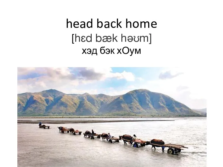 head back home [hɛd bæk həʊm] хэд бэк хОум