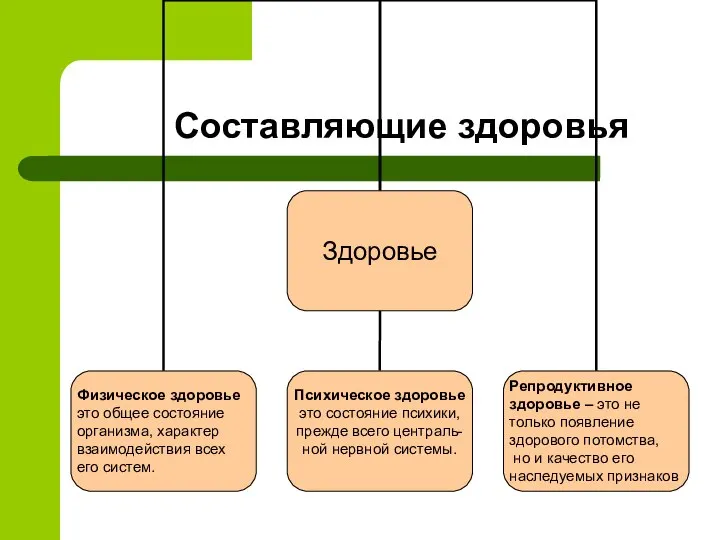 Составляющие здоровья