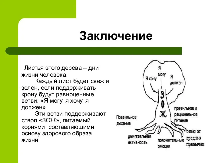 Заключение Листья этого дерева – дни жизни человека. Каждый лист будет свеж