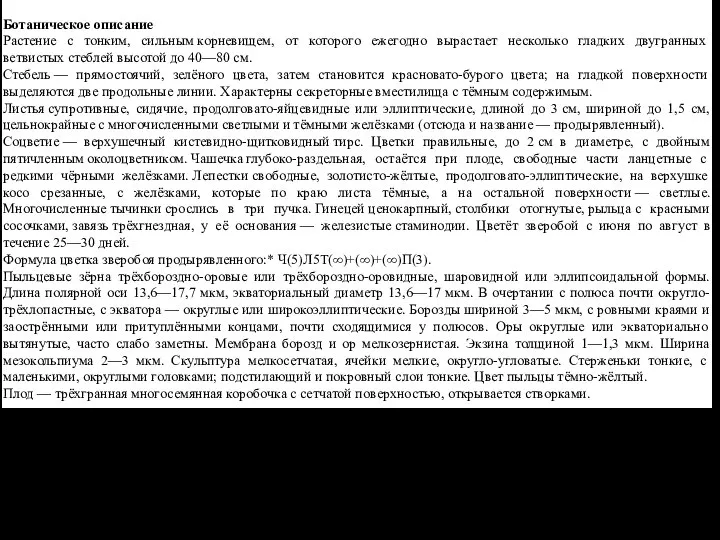 Ботаническое описание Растение с тонким, сильным корневищем, от которого ежегодно вырастает несколько