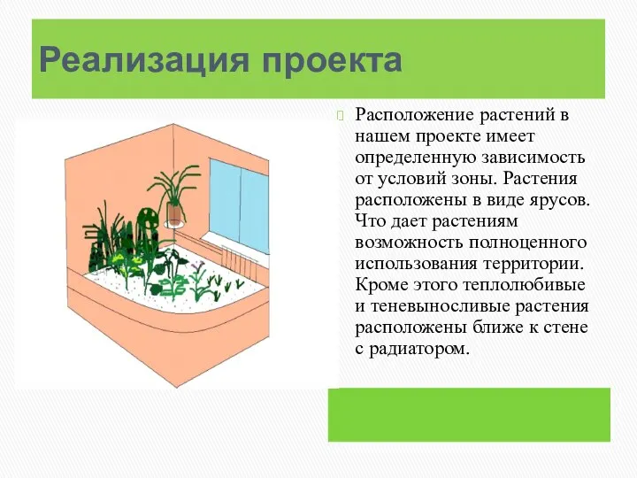 Реализация проекта Расположение растений в нашем проекте имеет определенную зависимость от условий