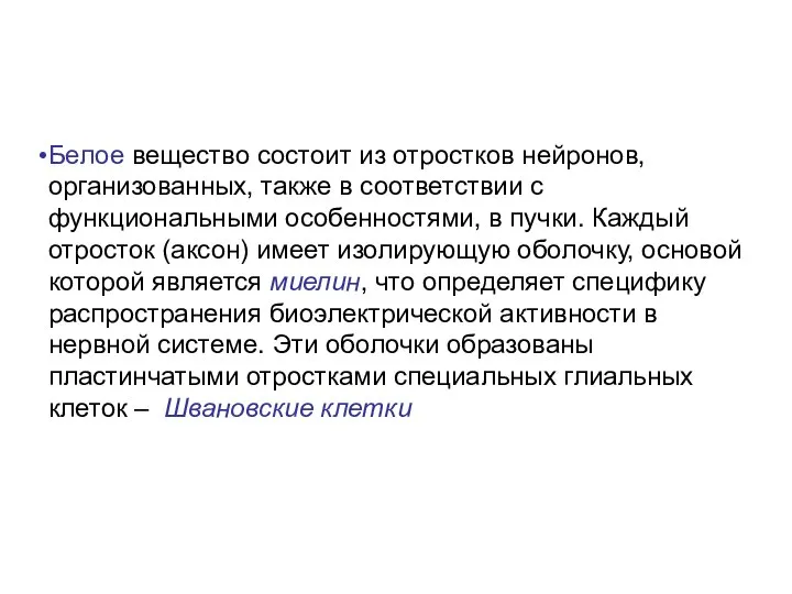 Белое вещество состоит из отростков нейронов, организованных, также в соответствии с функциональными