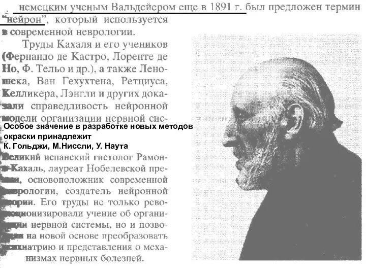 Особое значение в разработке новых методов окраски принадлежит К. Гольджи, М.Ниссли, У. Наута