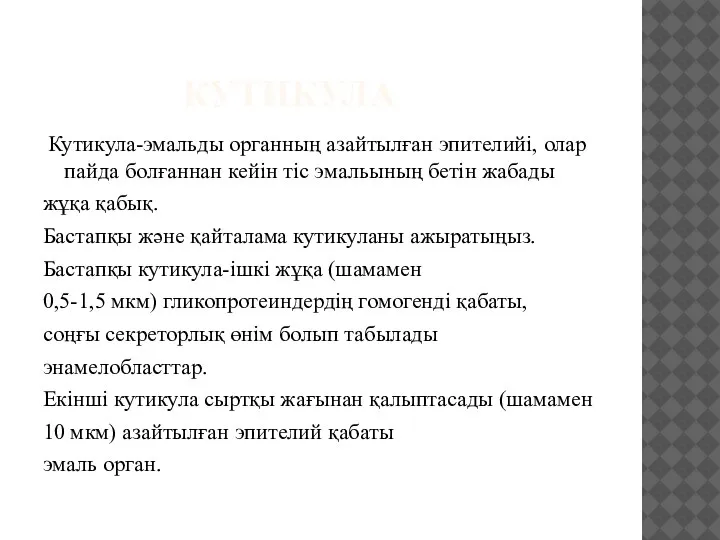 КУТИКУЛА Кутикула-эмальды органның азайтылған эпителийі, олар пайда болғаннан кейін тіс эмальының бетін