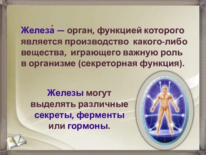 Железа́ — орган, функцией которого является производство какого-либо вещества, играющего важную роль