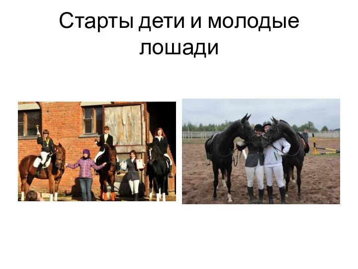 Старты дети и молодые лошади