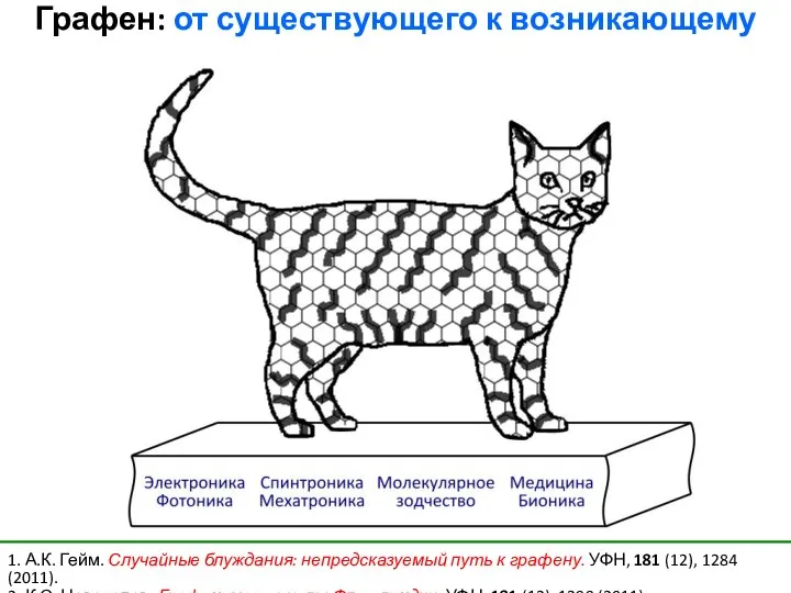 1. А.К. Гейм. Случайные блуждания: непредсказуемый путь к графену. УФН, 181 (12),