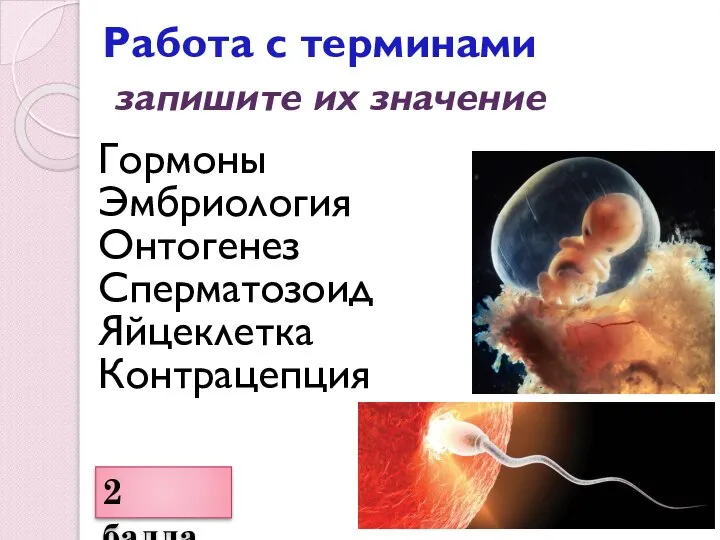 Работа с терминами запишите их значение Гормоны Эмбриология Онтогенез Сперматозоид Яйцеклетка Контрацепция 2 балла