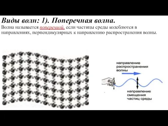 Виды волн: 1). Поперечная волна. Волна называется поперечной, если частицы среды колеблются