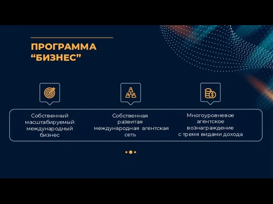 ПРОГРАММА “БИЗНЕС” Собственный масштабируемый международный бизнес Собственная развитая международная агентская сеть Многоуровневое