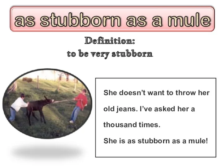 Definition: to be very stubborn She doesn’t want to throw her old