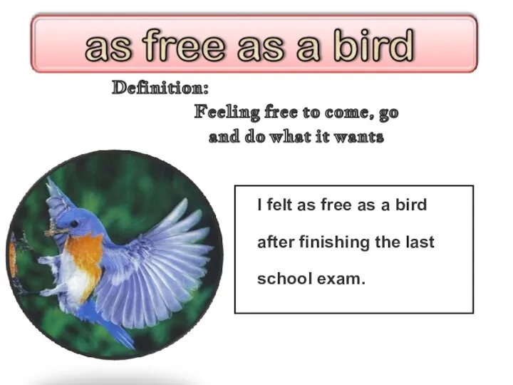 Definition: I felt as free as a bird after finishing the last