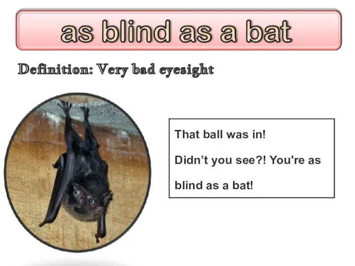 Definition: Very bad eyesight That ball was in! Didn’t you see?! You're