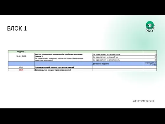 БЛОК 1 WELCOMEPRO.RU