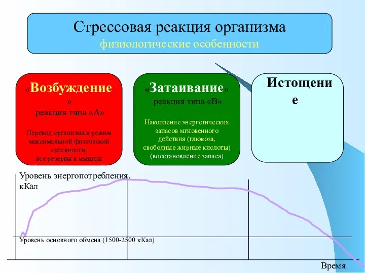 Стрессовая реакция организма, варианты «Возбуждение» реакция типа «А» Перевод организма в режим