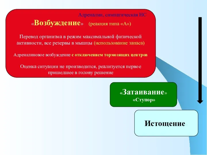 Адреналин, симпатическая НС «Возбуждение» (реакция типа «А») Перевод организма в режим максимальной