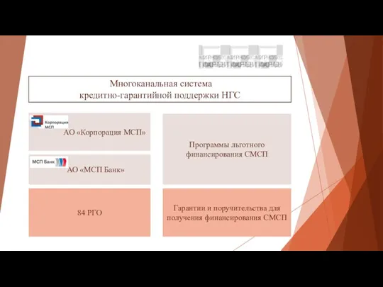 АО «Корпорация МСП» АО «МСП Банк» 84 РГО Многоканальная система кредитно-гарантийной поддержки