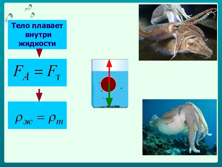Тело плавает внутри жидкости
