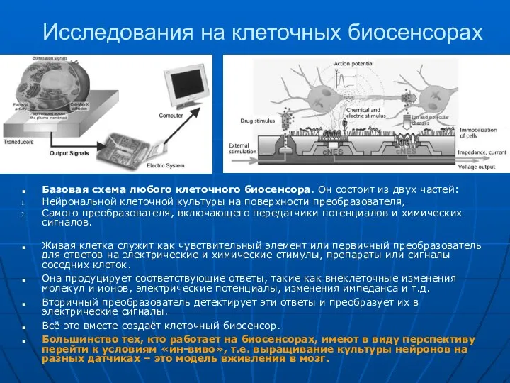 Исследования на клеточных биосенсорах Базовая схема любого клеточного биосенсора. Он состоит из