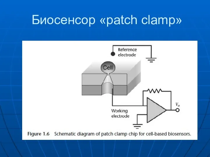 Биосенсор «patch clamp»