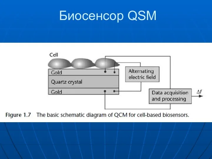 Биосенсор QSM