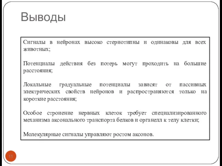 Выводы Сигналы в нейронах высоко стериотипны и одинаковы для всех животных; Потенциалы