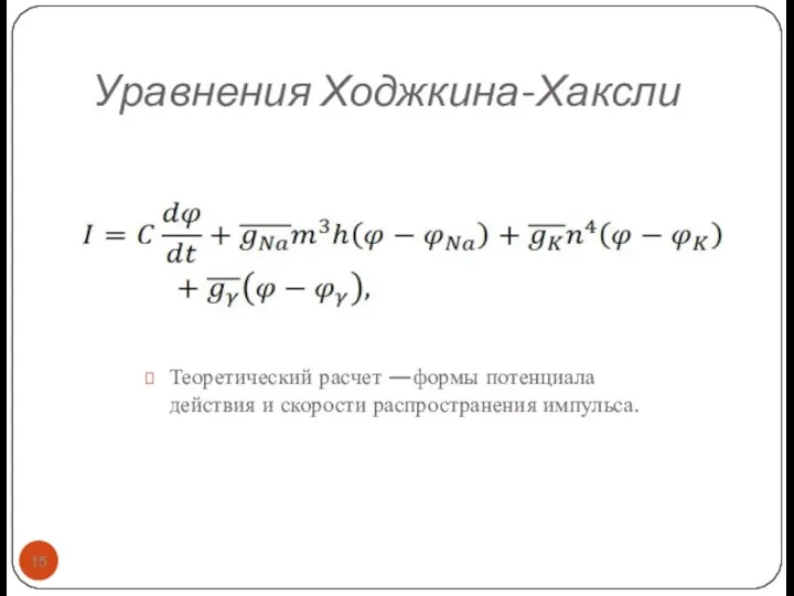 Уравнения Ходжкина-Хаксли Теоретический расчет —формы потенциала действия и скорости распространения импульса.