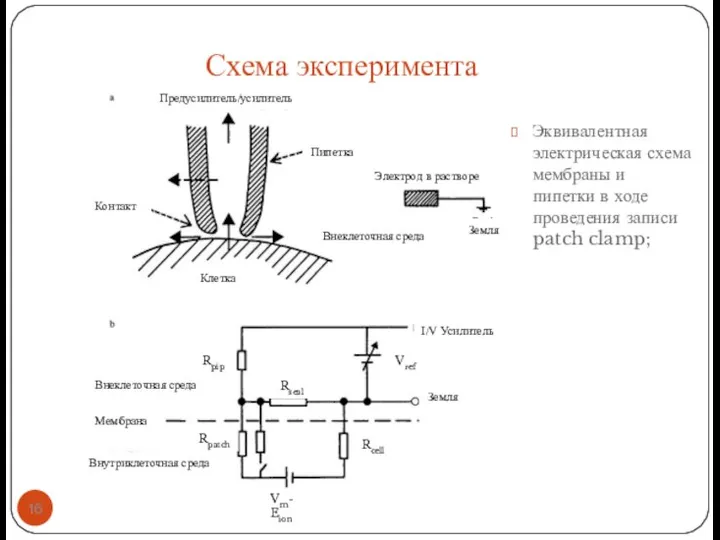 Эквивалентная электрическая схема мембраны и пипетки в ходе проведения записи patch clamp; Схема эксперимента