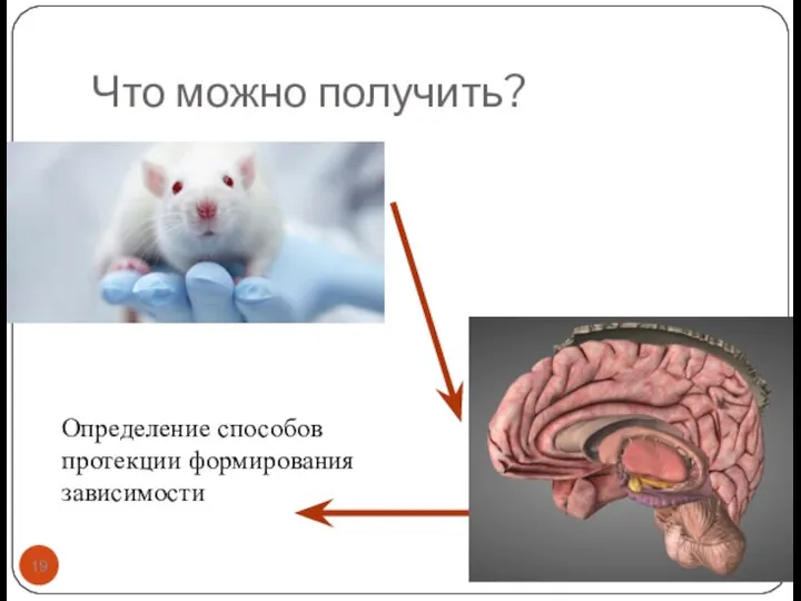 Что можно получить? Определение способов протекции формирования зависимости