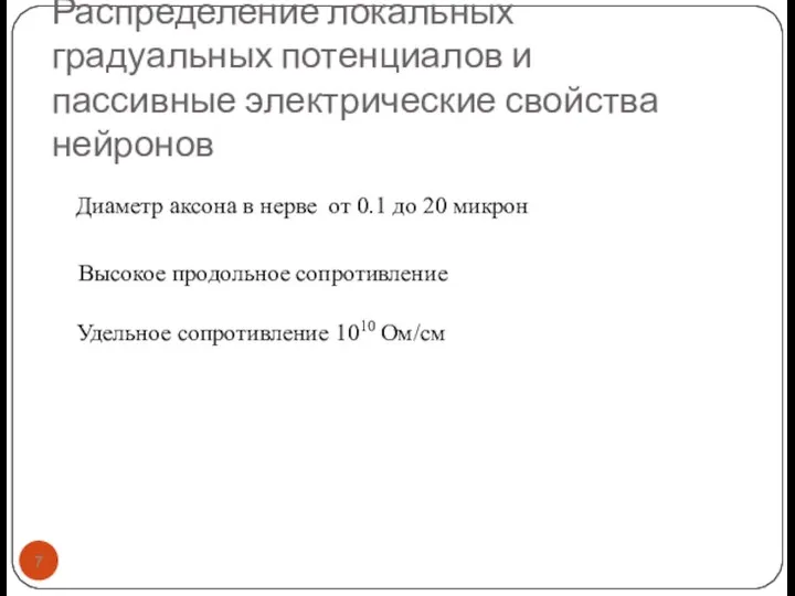 Распределение локальных градуальных потенциалов и пассивные электрические свойства нейронов Диаметр аксона в