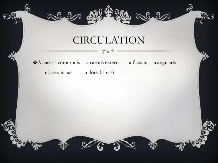 CIRCULATION A carotis communis ---a carotis externa-----a facialis----a angularis ------r lateralis nasi ----- a dorsalis nasi