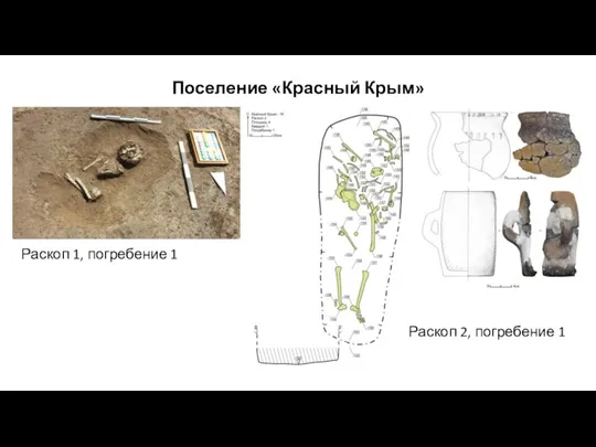 Поселение «Красный Крым» Раскоп 1, погребение 1 Раскоп 2, погребение 1