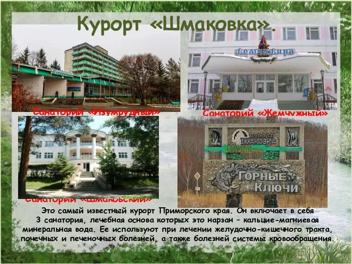 Курорт «Шмаковка». Это самый известный курорт Приморского края. Он включает в себя