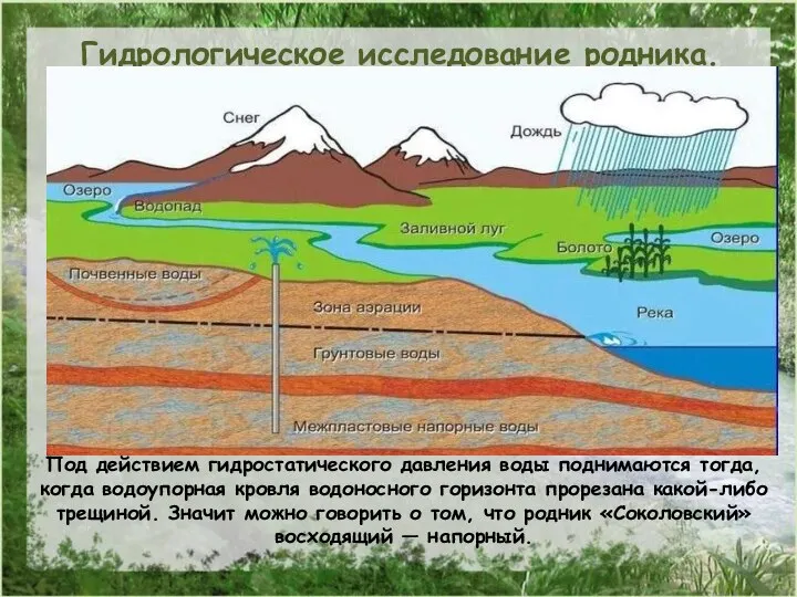 Под действием гидростатического давления воды поднимаются тогда, когда водоупорная кровля водоносного горизонта