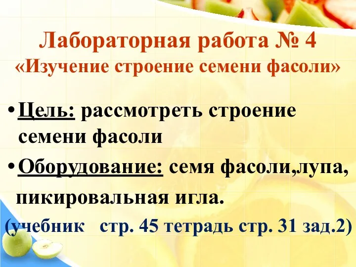 Лабораторная работа № 4 «Изучение строение семени фасоли» Цель: рассмотреть строение семени