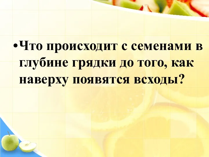 Что происходит с семенами в глубине грядки до того, как наверху появятся всходы?