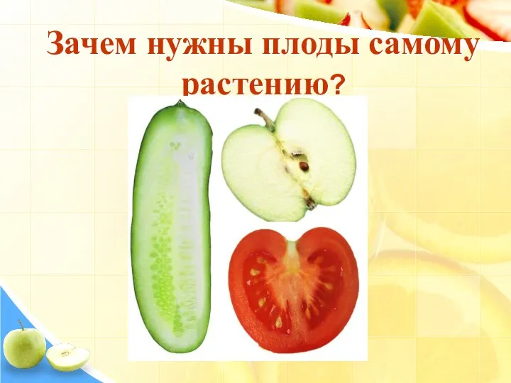 Зачем нужны плоды самому растению?