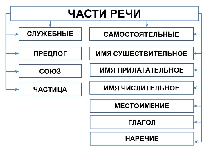 ЧАСТИ РЕЧИ СЛУЖЕБНЫЕ САМОСТОЯТЕЛЬНЫЕ ИМЯ СУЩЕСТВИТЕЛЬНОЕ ИМЯ ПРИЛАГАТЕЛЬНОЕ ИМЯ ЧИСЛИТЕЛЬНОЕ МЕСТОИМЕНИЕ ГЛАГОЛ НАРЕЧИЕ ПРЕДЛОГ СОЮЗ ЧАСТИЦА