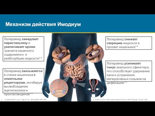 Механизм действия Имодиум Лоперамид связывается в стенке кишечника с опиатными рецепторами, ингибируя