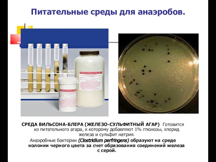Питательные среды для анаэробов. СРЕДА ВИЛЬСОНА-БЛЕРА (ЖЕЛЕЗО-СУЛЬФИТНЫЙ АГАР) Готовится из питательного агара,