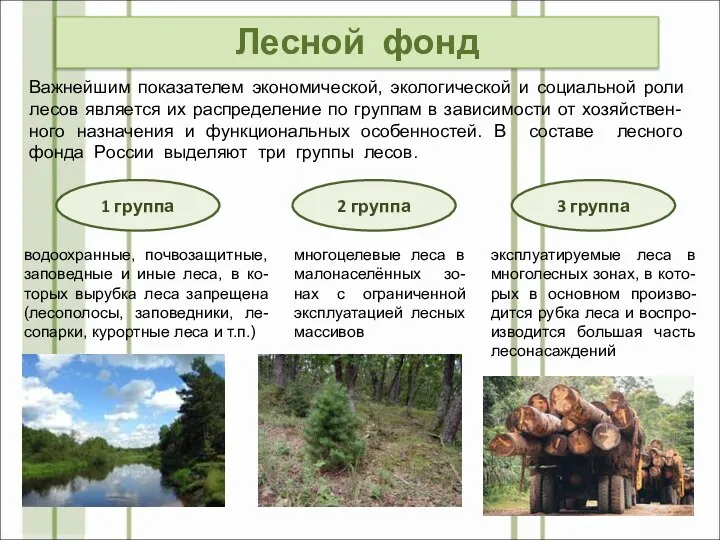 Лесной фонд Важнейшим показателем экономической, экологической и социальной роли лесов является их